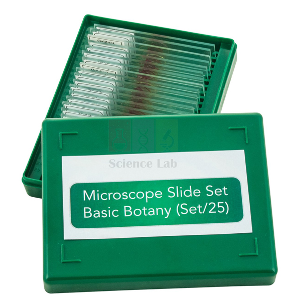 Basic Botany Slide Set